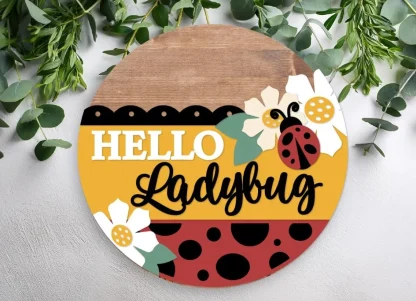 Hello Ladybug Overlay Kit